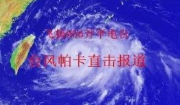 台风爆料最新情况视频大全,揭秘视频大全中的风雨征程