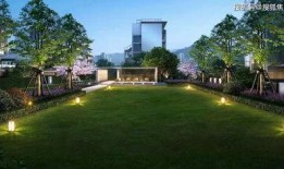 开封李先生最新爆料电话,揭秘电话背后的惊人真相