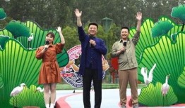 越南狗仔爆料视频大全最新,揭秘娱乐圈幕后真相