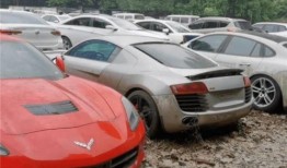 最新玛莎爆料视频大全,揭秘娱乐圈幕后真相